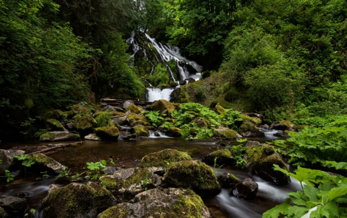 Best Waterfall Hikes In Oregon Archives Astoria Riverwalk Inn