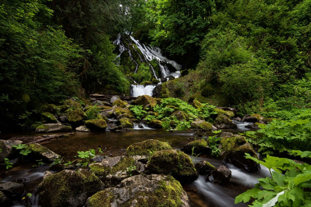 The 3 Prettiest Waterfalls to See in Oregon - Astoria Riverwalk Inn